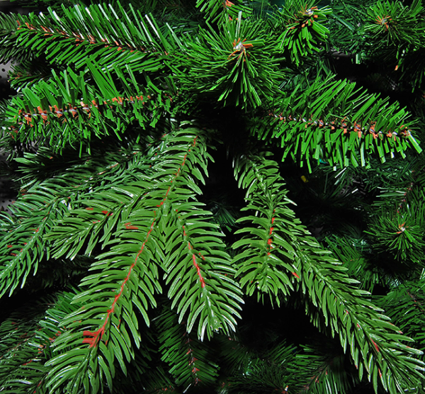 Сосна 215 см, Denberg