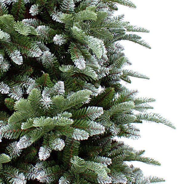 Ель 185 см с инеем, Abies Nordmann