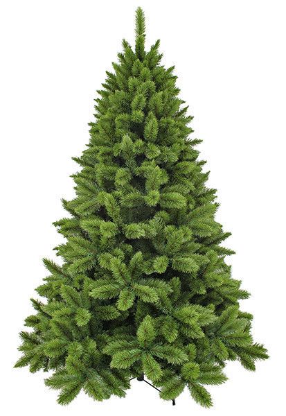 Ялина 230 см, Camden