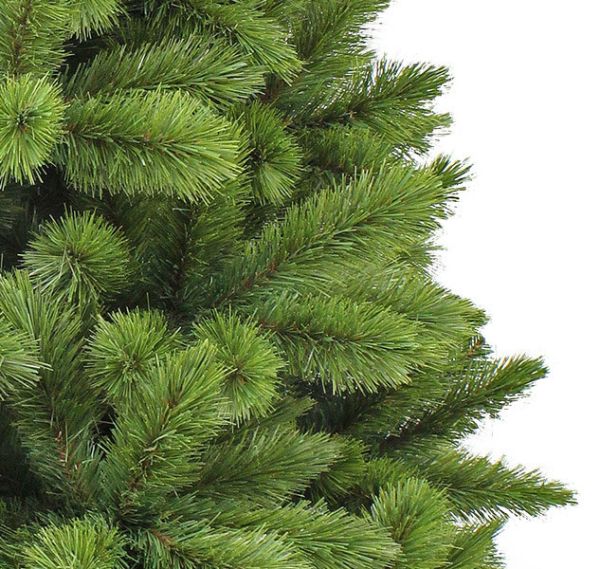 Ялина 230 см, Camden