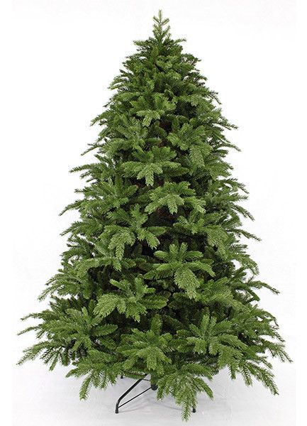 Ялина 230 см, Alberta