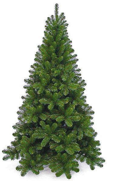 Ялина 365 см, Tuscan