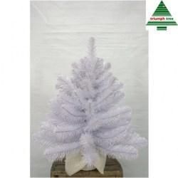 Сосна 60 см. Icelandic iridescent біла з блиском