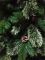 Ялина Dewberry 2,30 м зелена з декоративними шишками та ягодами