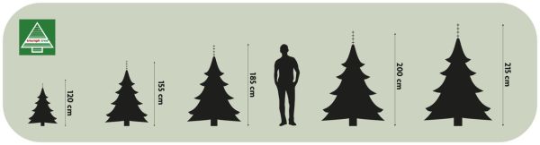 Сосна 3,65 м Forest frosted зелена з інеєм