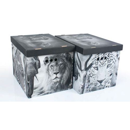 Набір картонних ящиків для зберігання XL, Safari 2шт