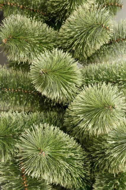 Новорічна штучна сосна КРИМСЬКА РОЗПУШЕНА 180 см