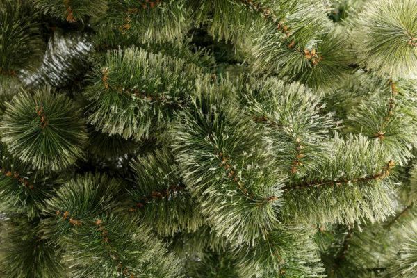 Новорічна штучна сосна КРИМСЬКА РОЗПУШЕНА 180 см