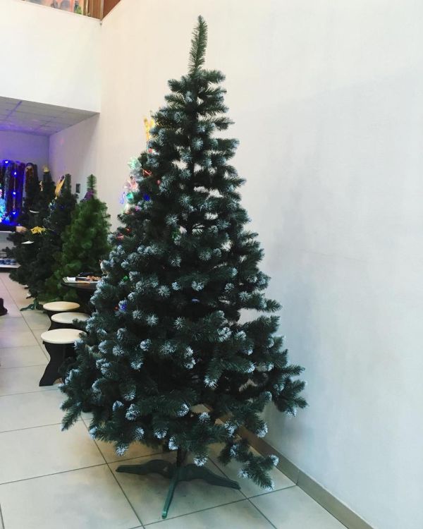 Штучна ялина КАРПАТСЬКА з білими кінчиками 150 см