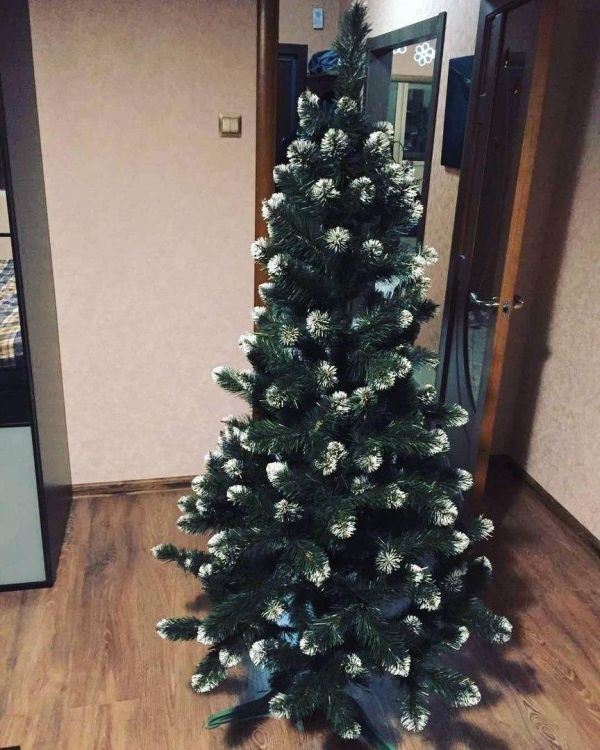 Штучна ялина КАРПАТСЬКА з білими кінчиками 150 см