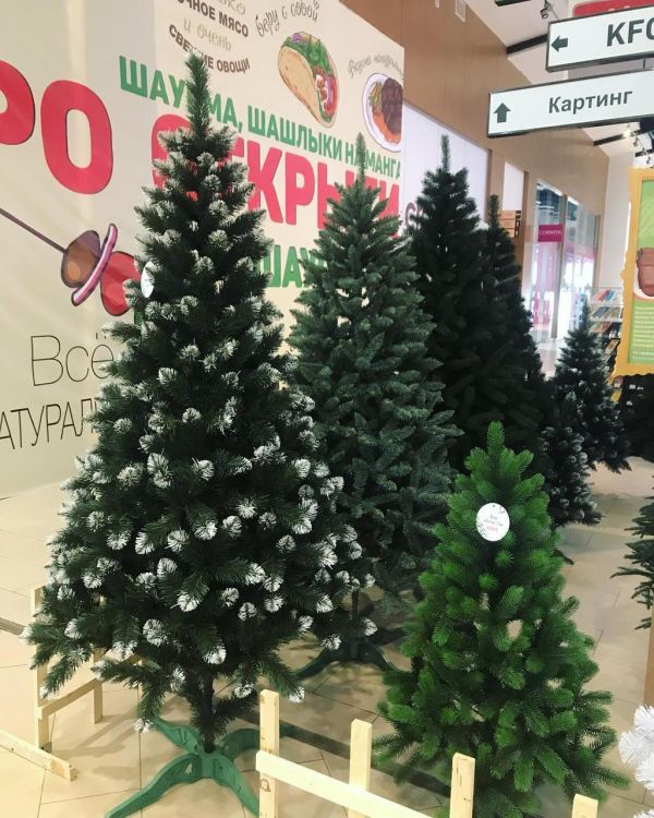 Штучна ялина КАРПАТСЬКА з білими кінчиками 150 см