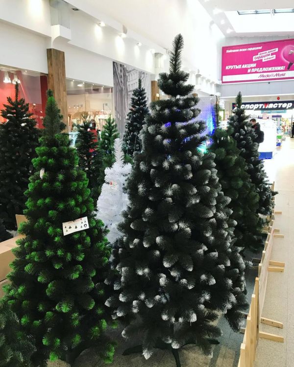 Искусственная ель КАРПАТСКАЯ с белыми кончиками 250 см