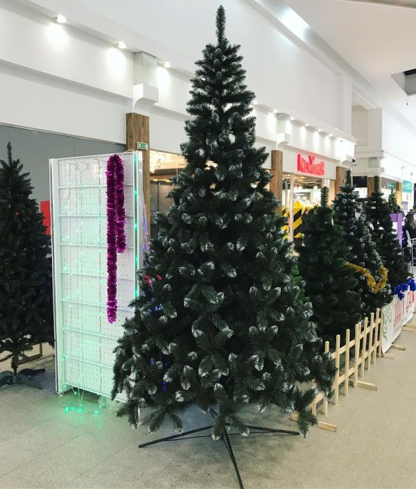 Штучна ялина КАРПАТСЬКА з білими кінчиками 300 см