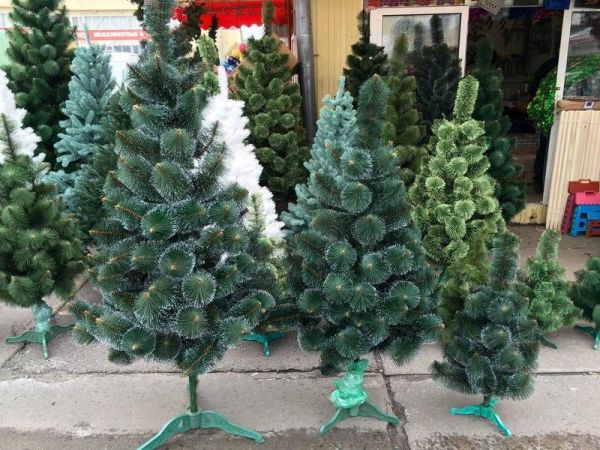 Різдвяна штучна сосна КРИМСЬКА ЗАСНІЖЕНА 240 см