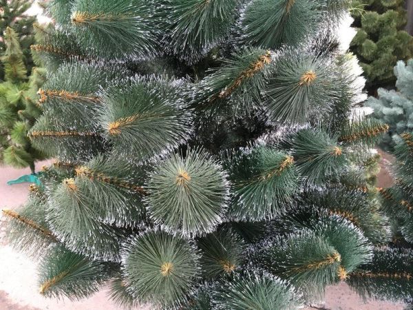 Різдвяна штучна сосна КРИМСЬКА ЗАСНІЖЕНА 300 см