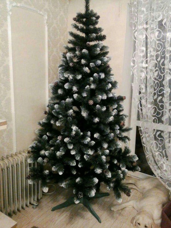 Штучна ялинка з шишками КАРПАТСЬКА з білими кінчиками 250 см