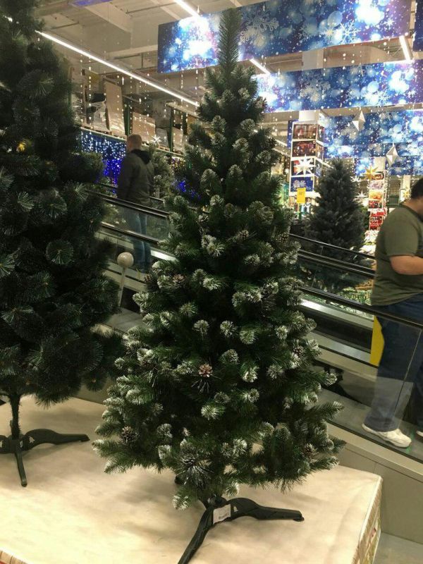 Штучна ялинка з шишками КАРПАТСЬКА з білими кінчиками 250 см