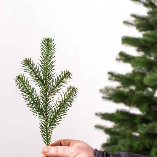 Штучна силіконова ялинка КОВАЛІВСЬКА зелена 230 см