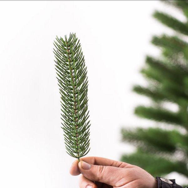 Искусственная новогодняя литая ель БУКОВЕЛЬСКАЯ зелёная 250 см