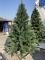 Искусственная новогодняя литая сосна ФИНСКАЯ зелёная 250 см