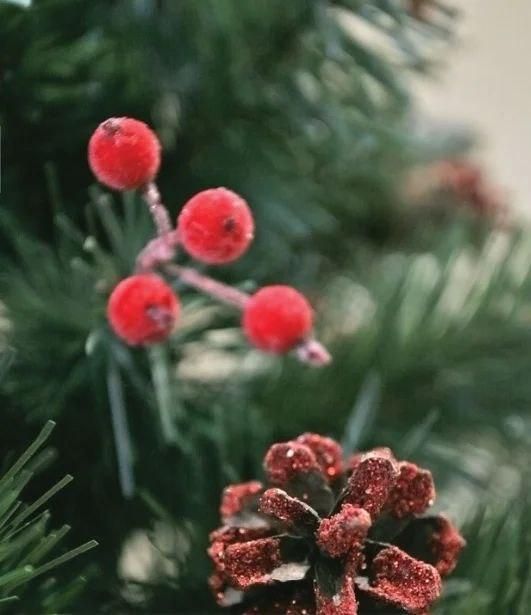 Искусственная ель РОЖДЕСТВЕНСКАЯ с белыми кончиками, шишками и калиной красной 250 см