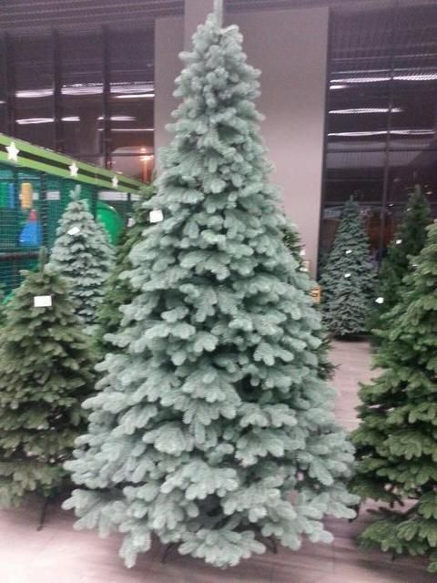 Штучна блакитна силіконова ялинка КОВАЛІВСЬКА 300 см