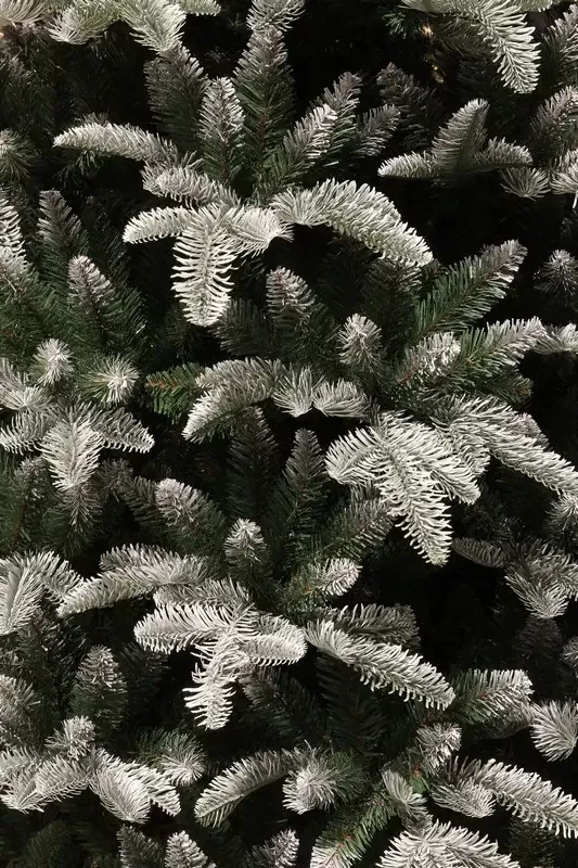 Ель 1,85 м. Hallarin зеленая с инием