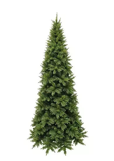 Ялинка 155 см, edulis зелена