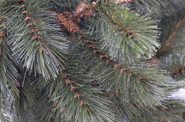 Гірлянда 1,8м. Forest frosted зелений