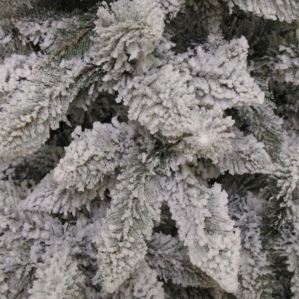 Ялинка Альпійська засніжена 220 см