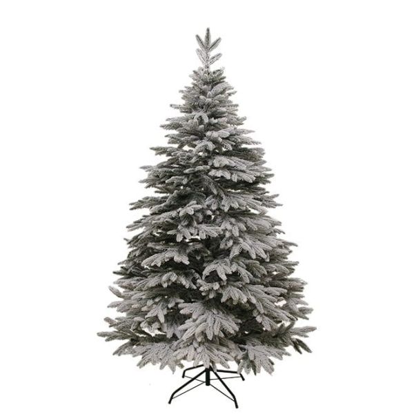 Ялинка лита Смерека Карпатська засніжена 230 см