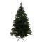 Ялинка лита Смерека Карпатська зелена 230 см