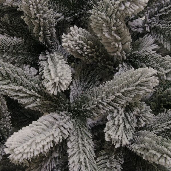 Ялинка лита Буковельська засніжена 210 см