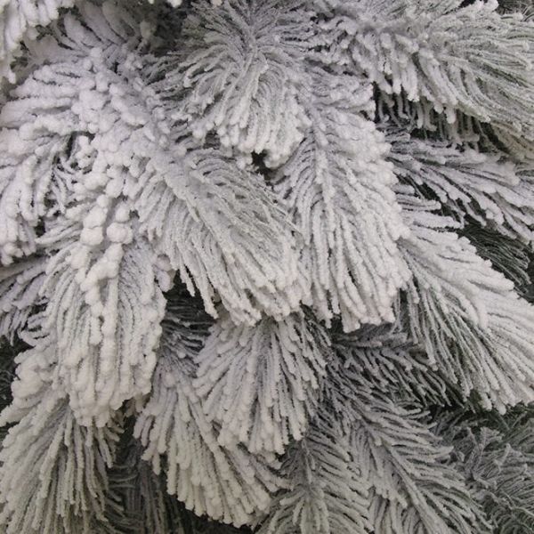 Сосна лита Люкс засніжена 230 см