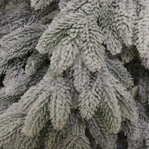 Ялинка лита Роял засніжена 210 см