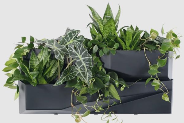 Каскад для квітів Prosperplast Cascade Wall