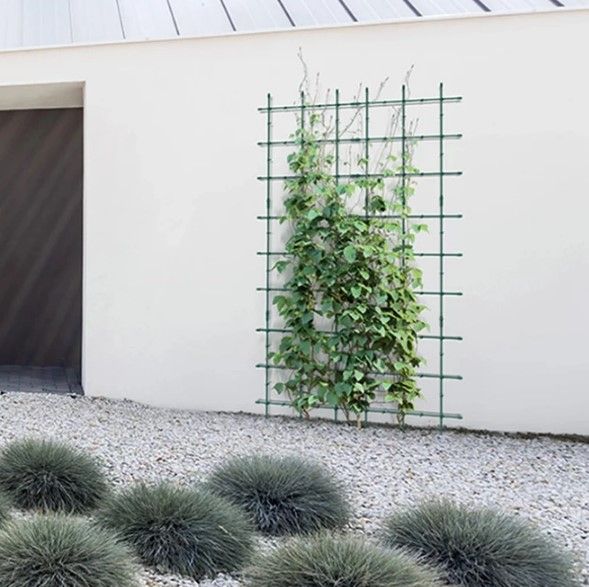 Опора для рослин Prospeplast Floo Supports 120 х 180 см.