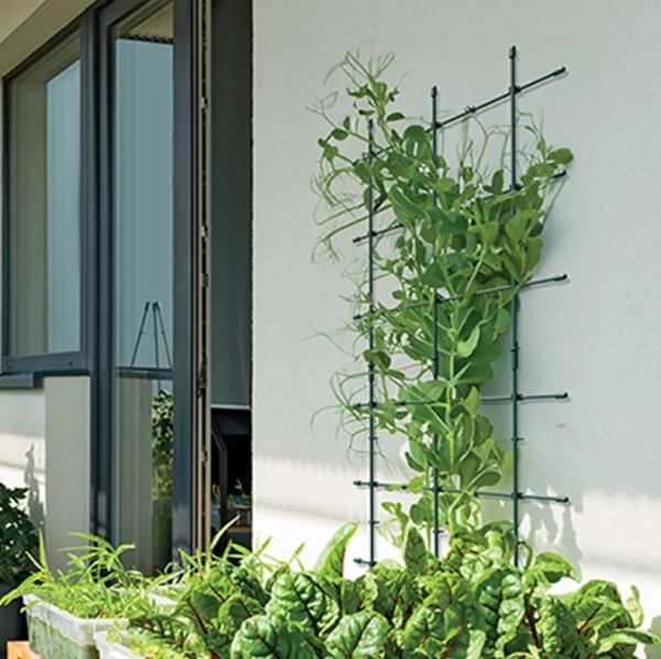 Опора для рослин Prospeplast Floo Supports 60 х 120 см.